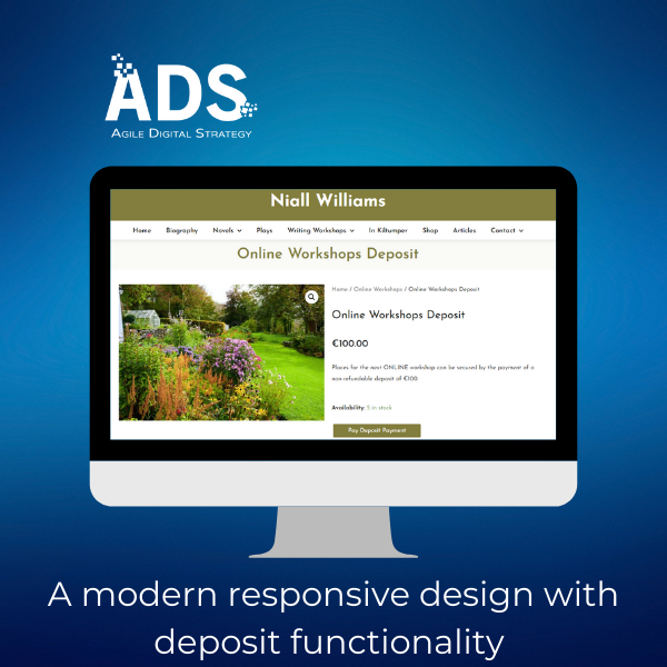 Niall Williams Desktop view Website design